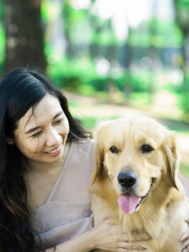 The 15 Friendliest Dog Breeds Who Love Everyone They Meet