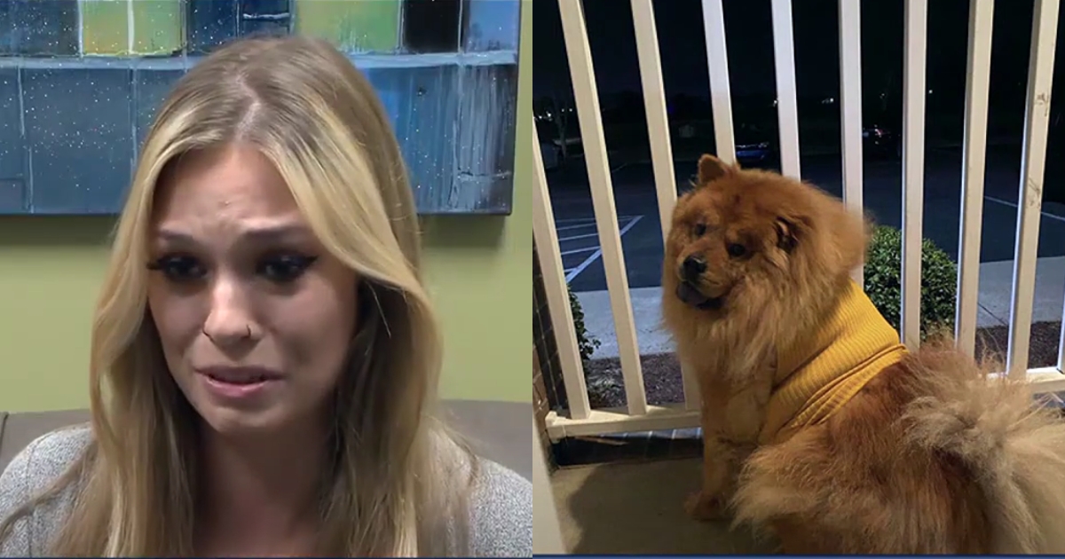 Woman Left Devastated After Her Dog Mysterious Passing During Petco Grooming