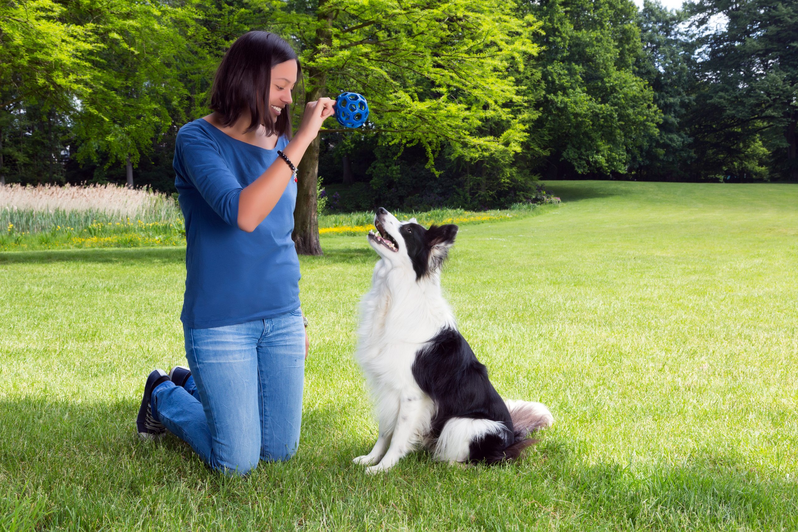 Woman,In,The,Park,Playing,Fetch,With,Her,Border,Collie