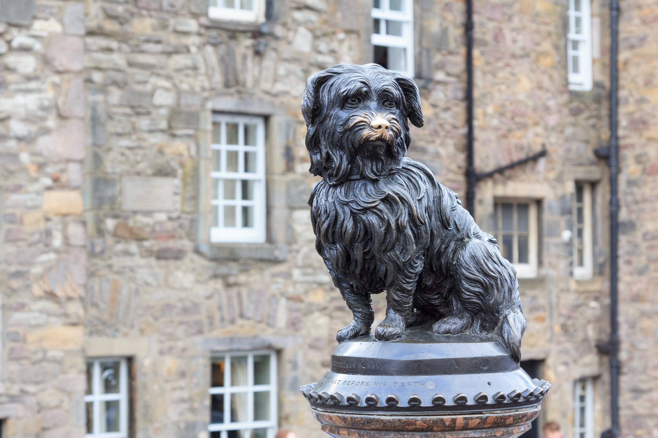 Sculpture,Of,Greyfriars,Bobby,,A,Skye,Terrier,Who,In,The