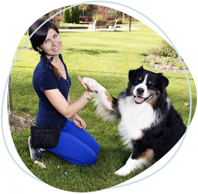 DogAcademy offers online dog training