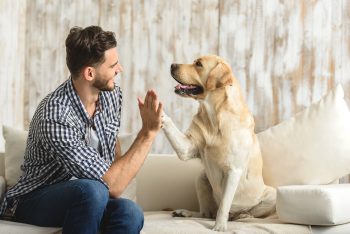 PetWireDaily — 75 Amazing Gifts For Dog Dads