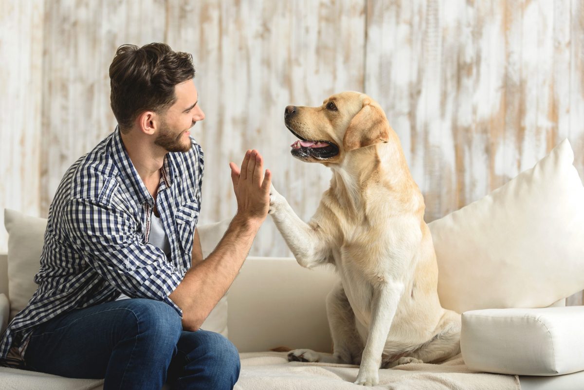 Father's Day Dog Dad