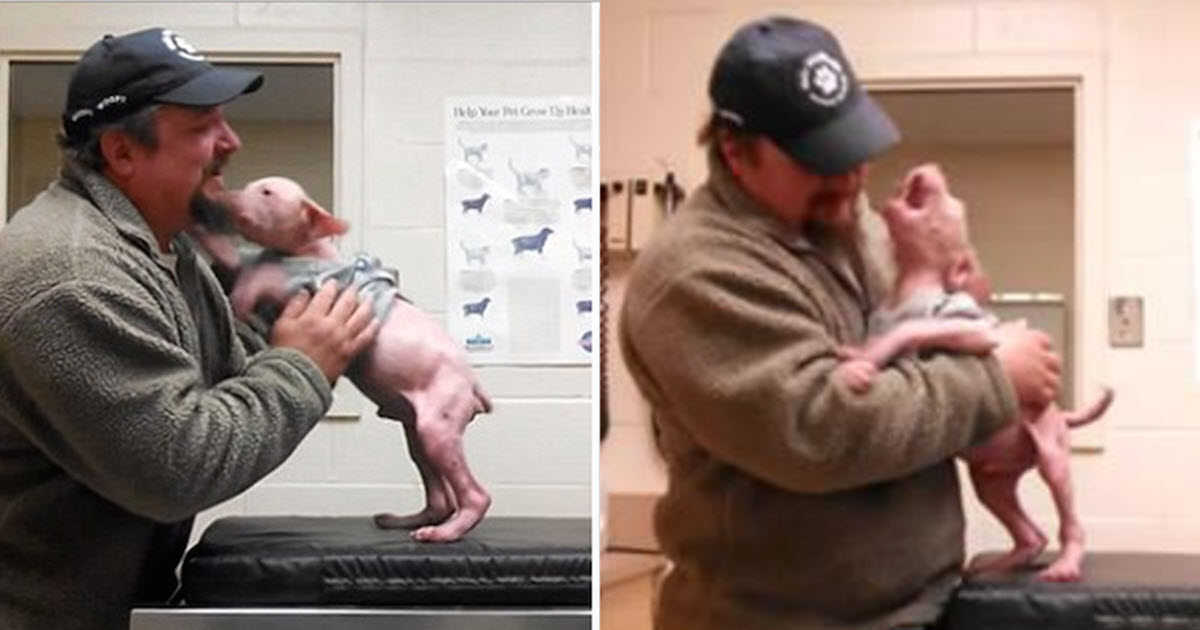 Guy Returned To Adopt The Dog He Rescued, And The Pup Couldn’t Be Happier