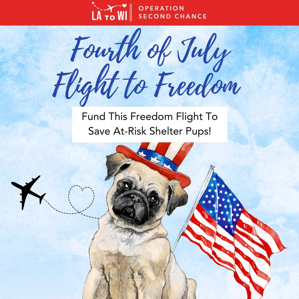 Fourth of July Freedom Flight