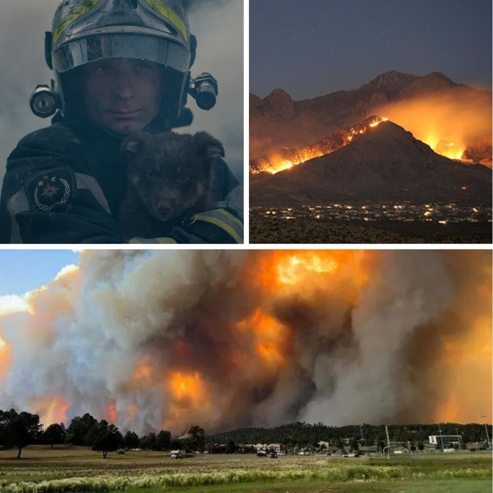 Wildfire-Disaster-Relief-2024 – emergency fundraiser for the California and New Mexico wildfires.