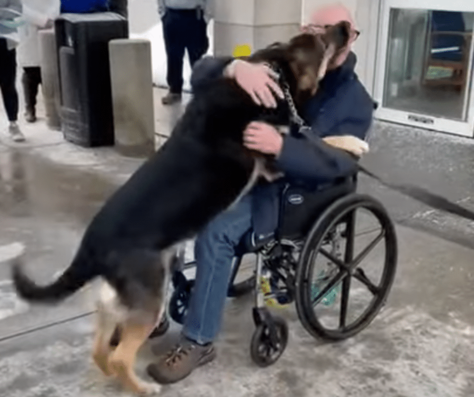 Remarkable and Inspiring Tale of How Sadie and Brian Myers Rescued Each ...
