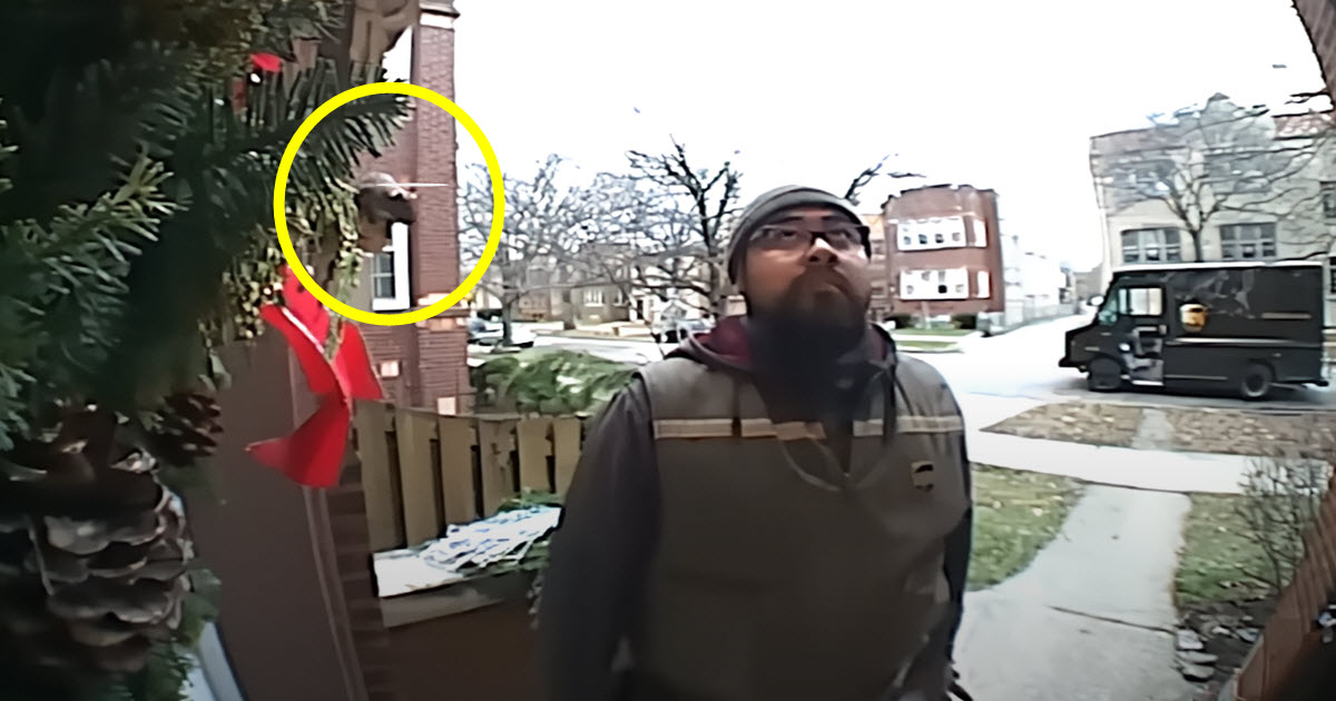 UPS Driver Has ‘Unexpected’ Encounter, And It Was All Captured on Camera