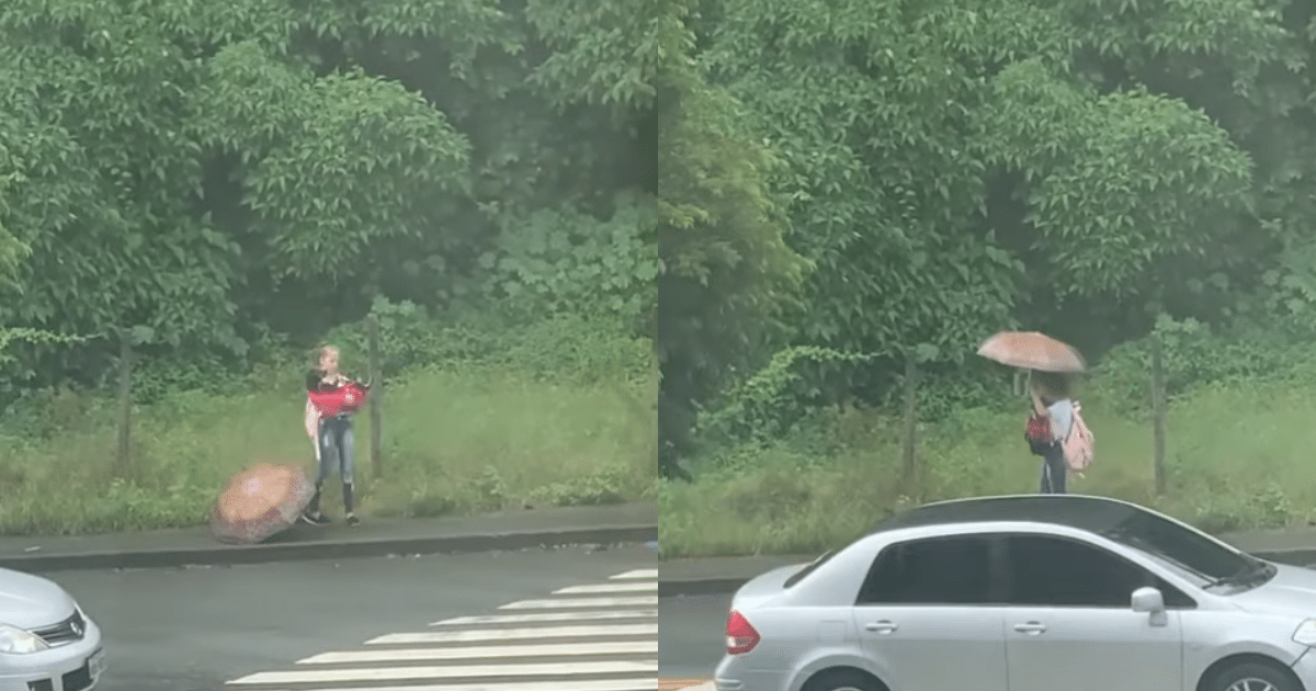 Stray Dog Rescued by an ‘Angel’ on Her Way Home from School