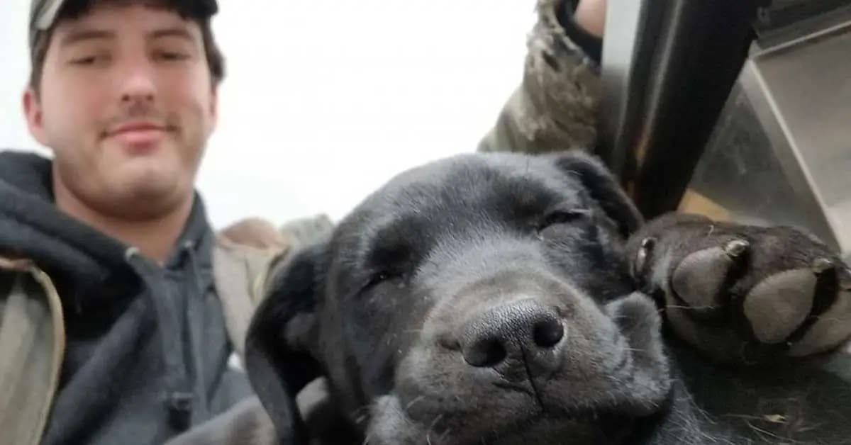 Deaf Man Adopts Deaf Rescue Puppy and Teaches Him Sign Language