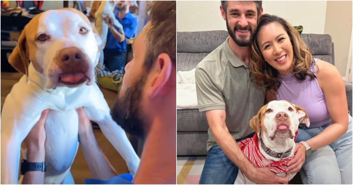 Dog Couldn’t Imagine Having A Family That Loves Her This Much