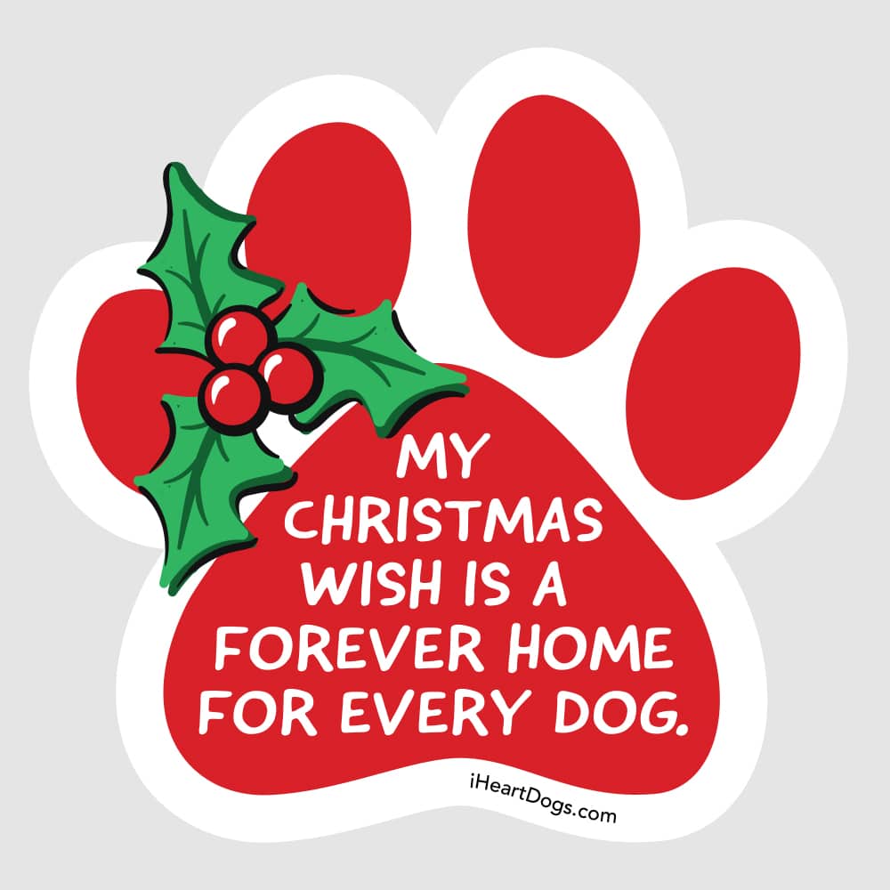 My Christmas Wish Is A Forever Home For Every Dog Car Magnet- Great for Kitchen Fridge, Home Decor