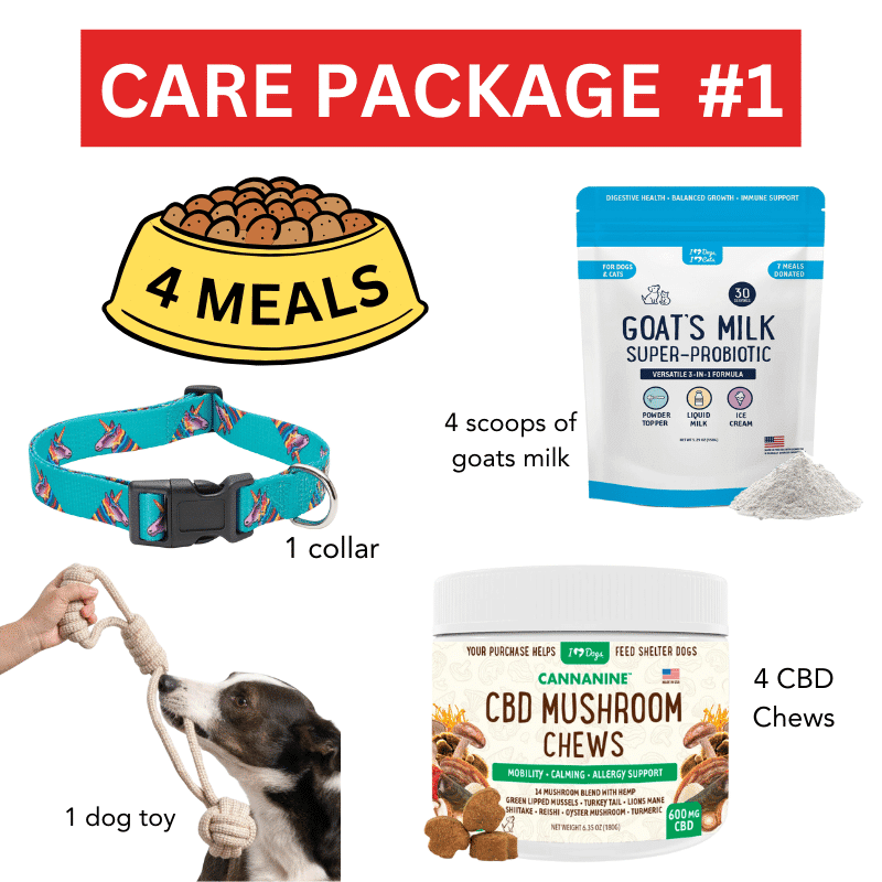 Name A Dog - Dallas Dog Rescue  - Care Package Includes: 1 Rope Toy, 1 Collar, 5 CBD Mushroom Chews, 4 Scoops Goat Milk and 4 Meals For Dogs in Need for $15