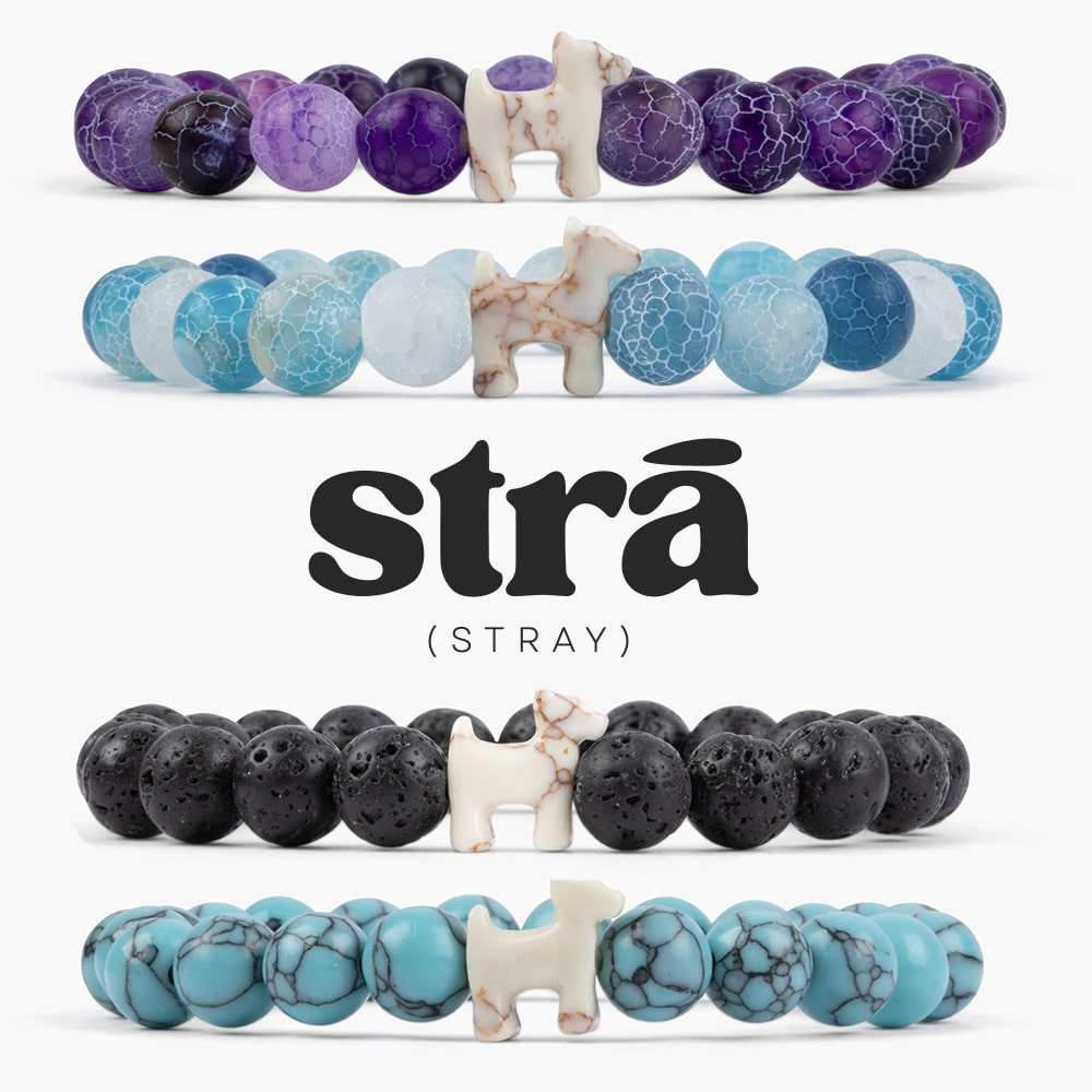 STRA (Stray) Bracelets- Help Feed Strays World Wide Products