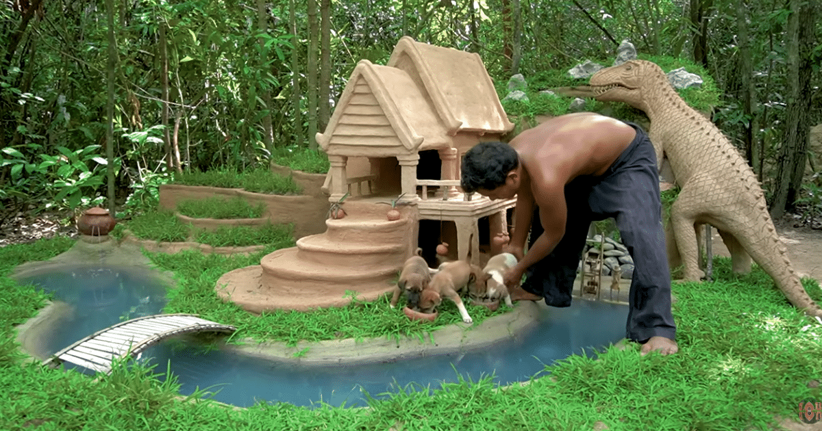 Man Discovers Four Abandoned Puppies in the Woods and Constructs a Beautifully Crafted Dog House Just for Them