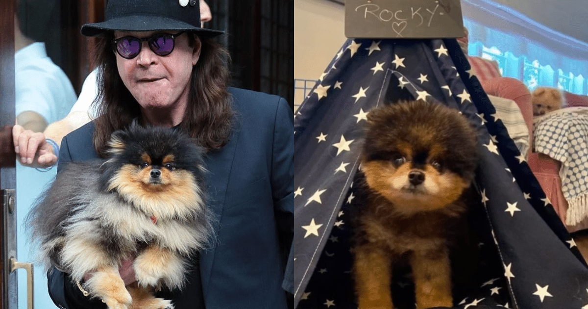 “Ozzy Osbourne Mourns the Loss of Beloved Dog Rocky: ‘I Love You Always'”