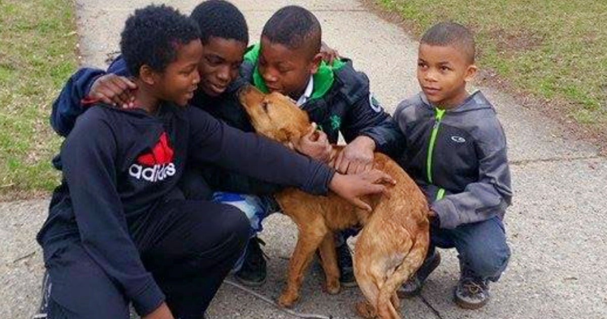 Boys Prove Where There Are Villians, There Are Heroes When They Save This Dog thumbnail