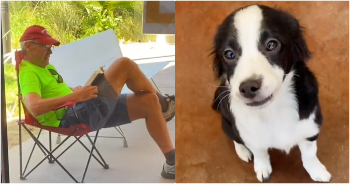 Guy Camps Outside Shelter To Adopt His Dream Puppy thumbnail