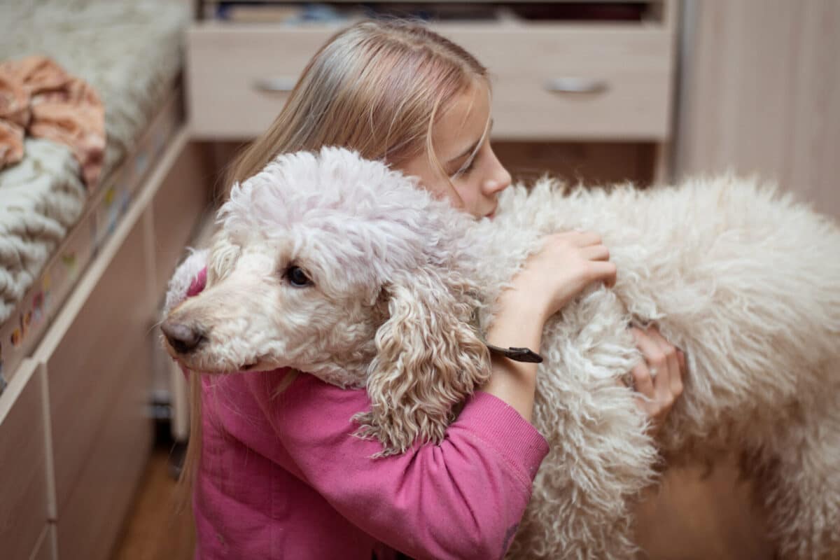 The 8 Most Empathetic Dog Breeds thumbnail