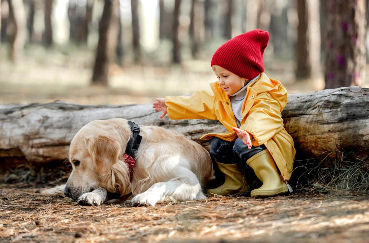 18 Dog Breeds Known For Their Gentle Approach With Toddlers And Babies