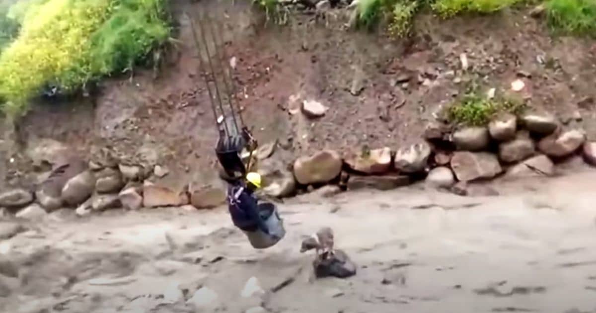 Brave Construction Worker Swings Over River in Crane Bucket to Save Lost Dog