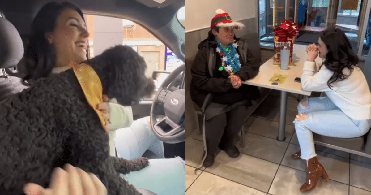 Dog’s Heartwarming Drive-Thru Stop Brings Tears of Joy