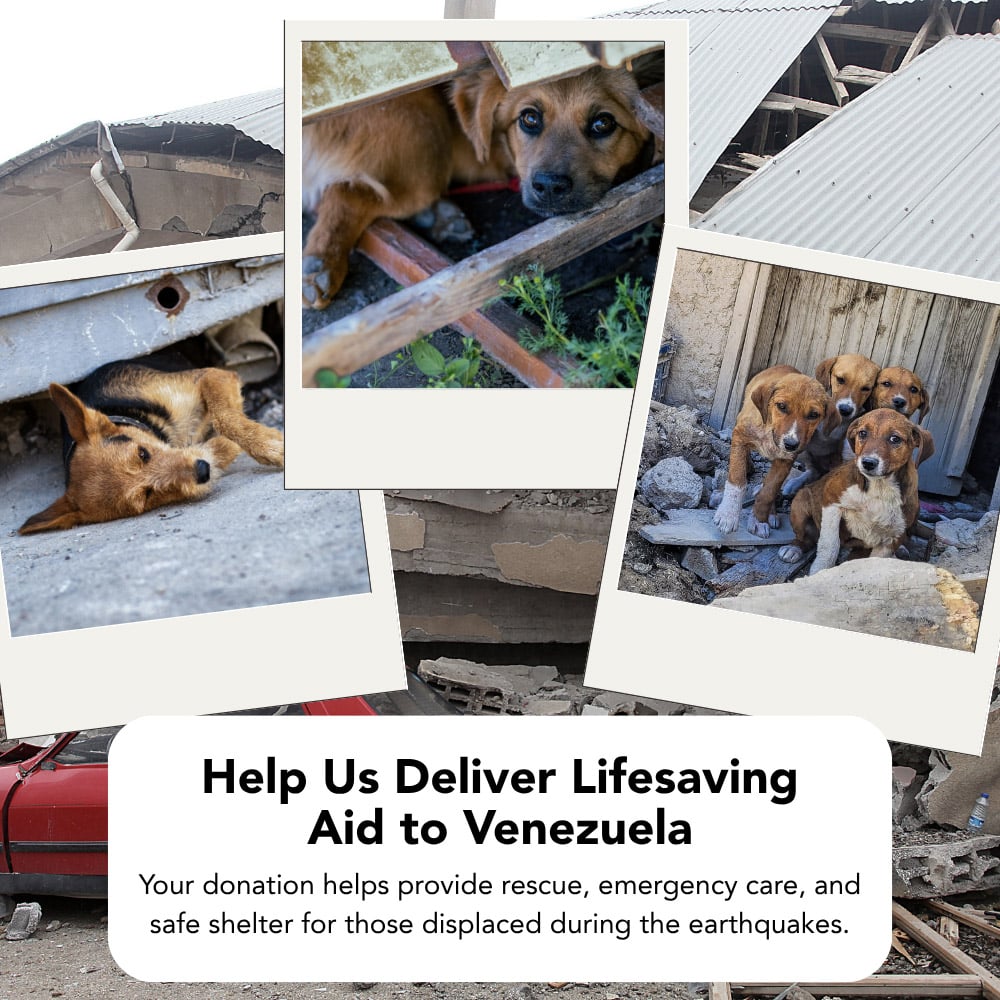 ⚠️URGENT! Emergency Earthquake Relief Needed
