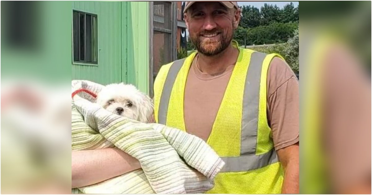 Sanitation Driver Finds Small Dog In Truck’s Hopper Among The Trash