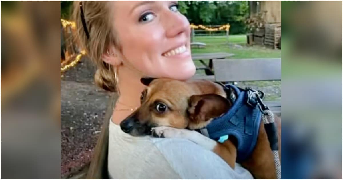 Nurse Takes In Terminal Patient’s Dog So He Doesn’t End Up In Shelter thumbnail