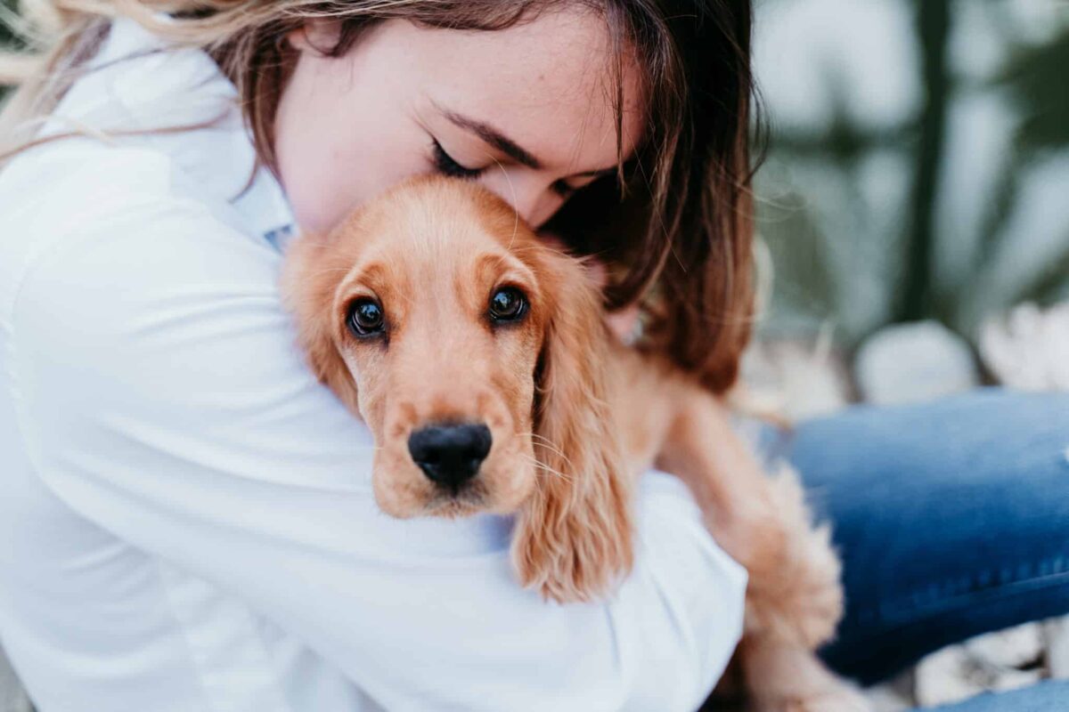 The 8 Dog Breeds with the Highest Emotional Intelligence