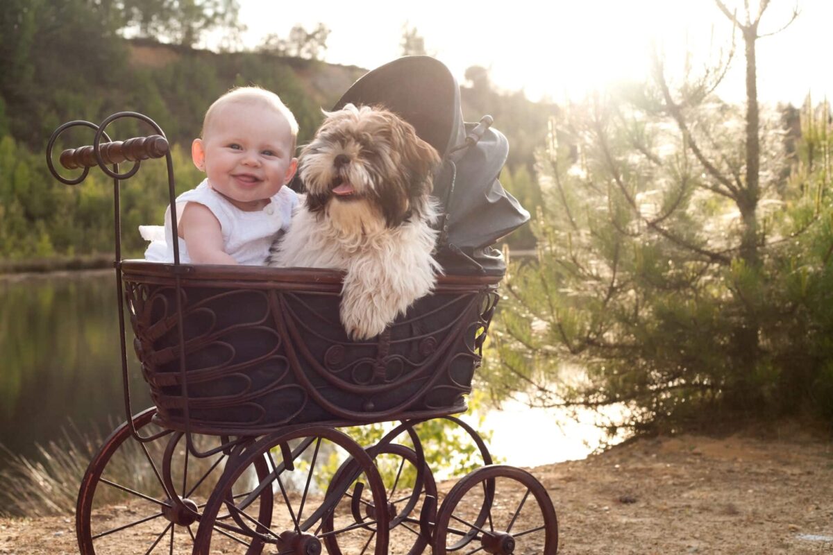 Baby,Girl,And,Puppy,Are,Sitting,In,A,Vintage,Pram