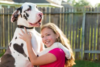 15 Dog Breeds That Are Natural-Born Cuddlers