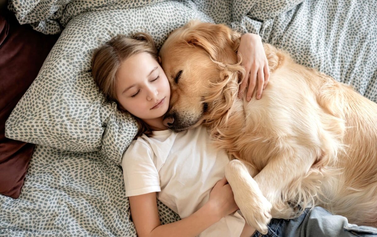 7 Dog Breeds That Are The Perfect Snuggle Buddies On A Cozy Night