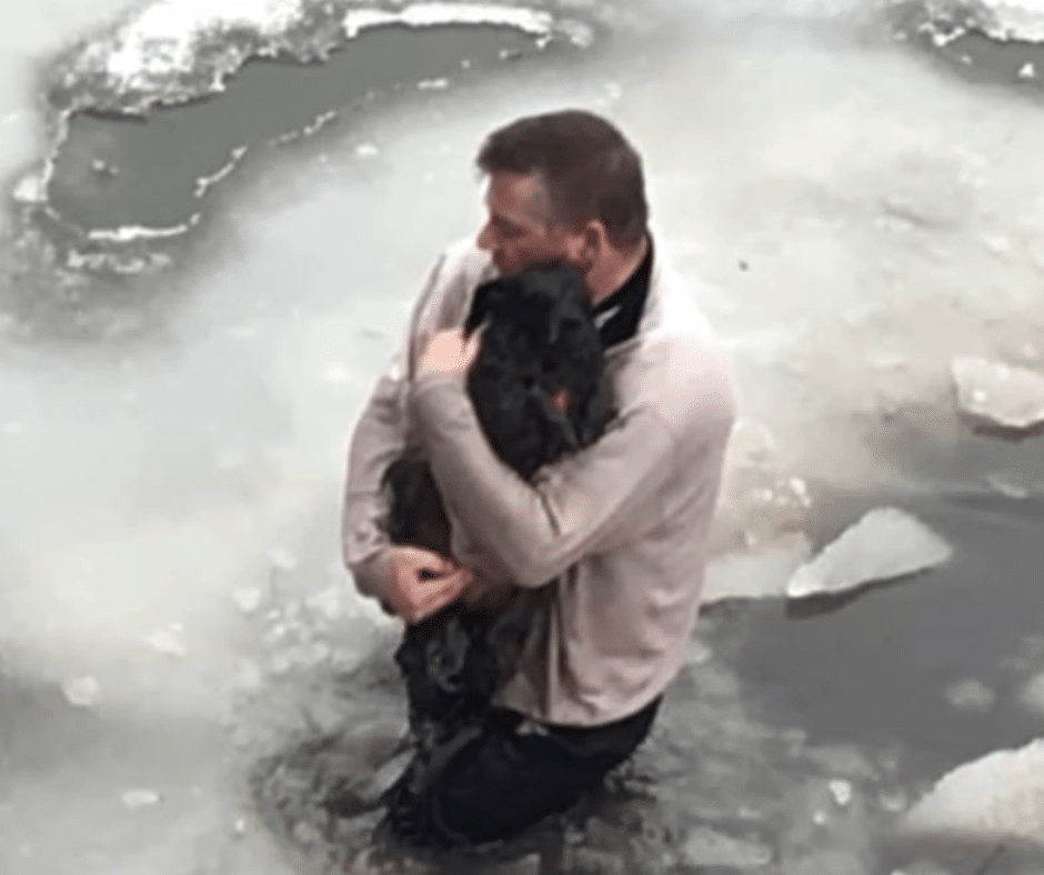 Chilling Rescue: Man Jumps into Icy Waters to Save His Dog - iHeartDogs.com