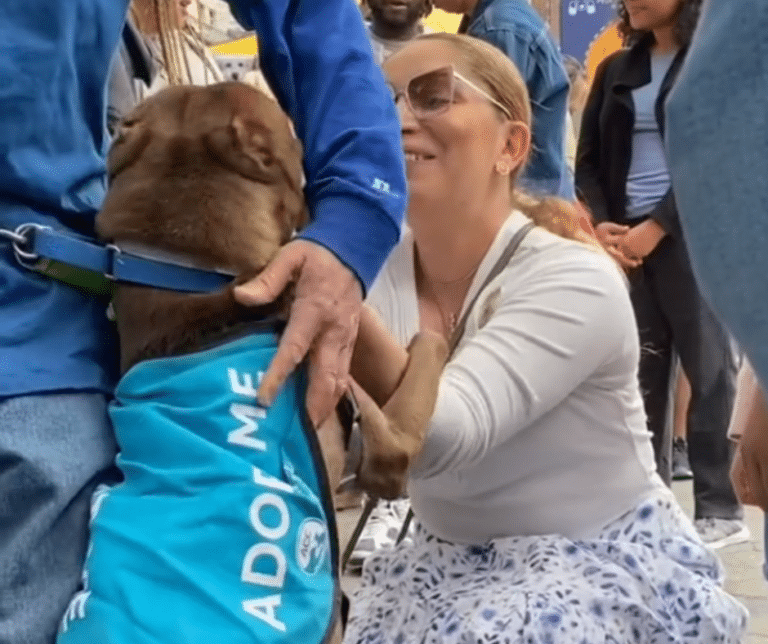 Lost and Found! Family Reunites with Missing Dog at Shelter Months ...