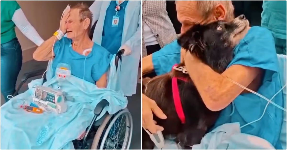 Hospitalized Man Lost Will To Live, Finds Strength When His Dog Comes To Visit