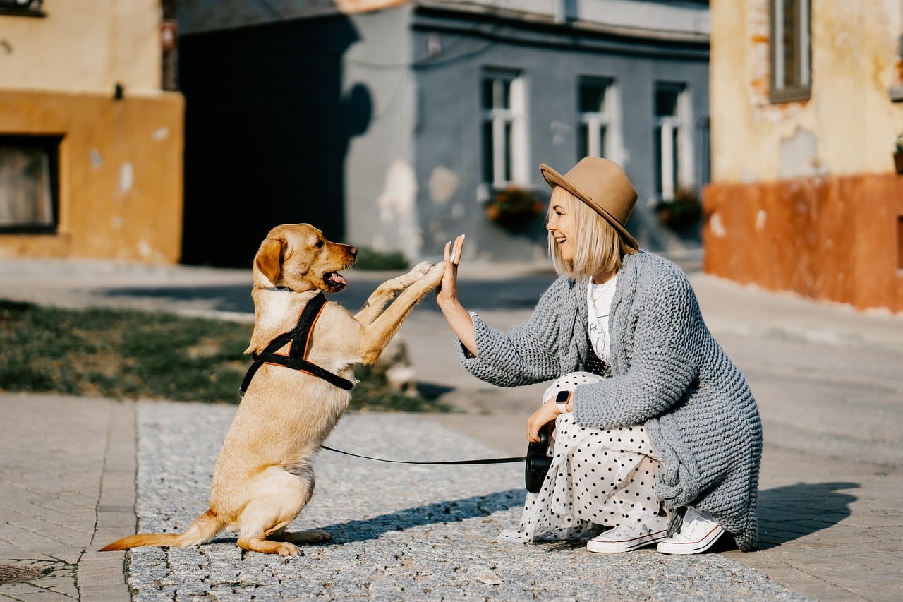 Girl with a dog