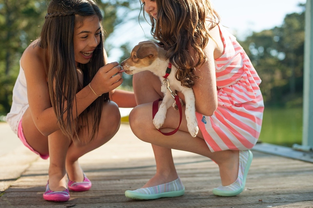 Dog with kids