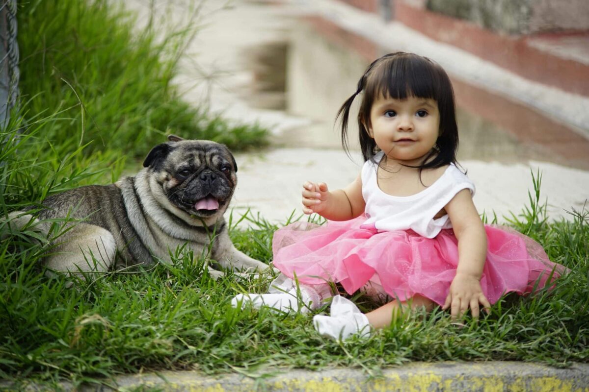 Top Tips to Ensure Puppies and Kids Become Best Buddies!