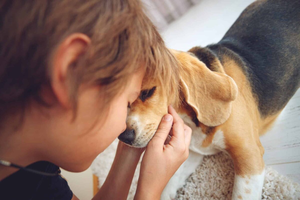 10 Dog Breeds That Love Children (+ 5 That Prefer Adults)