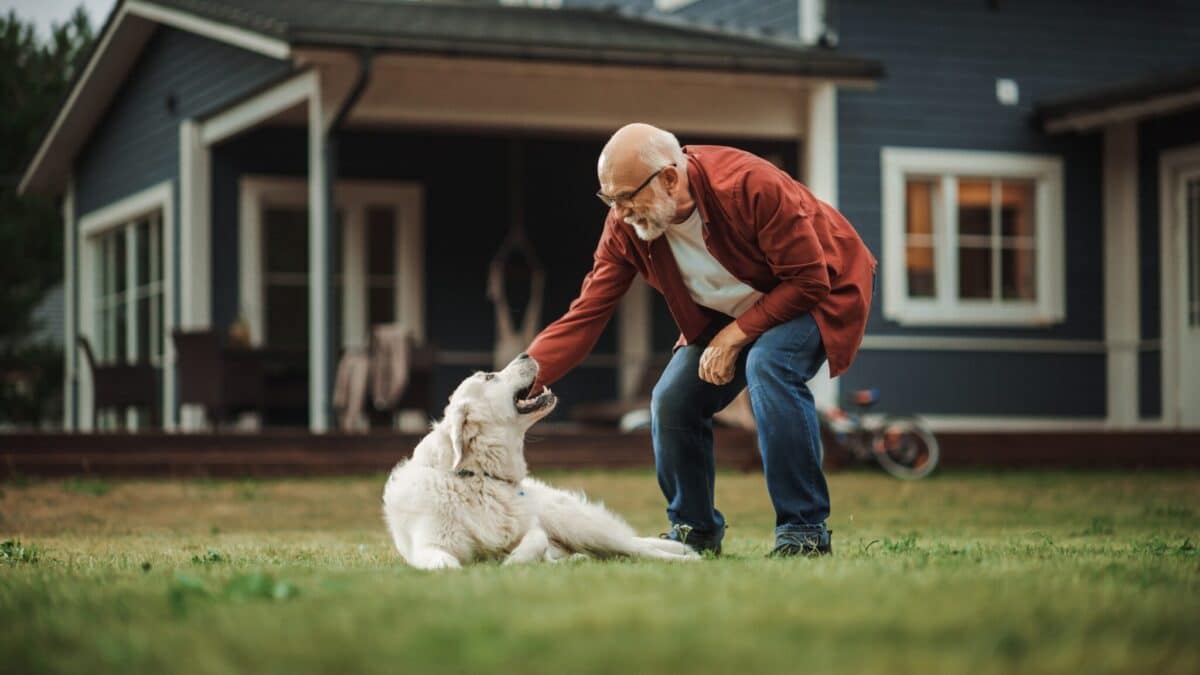 9 Best Dog Breeds for Baby Boomers Seeking Companionship