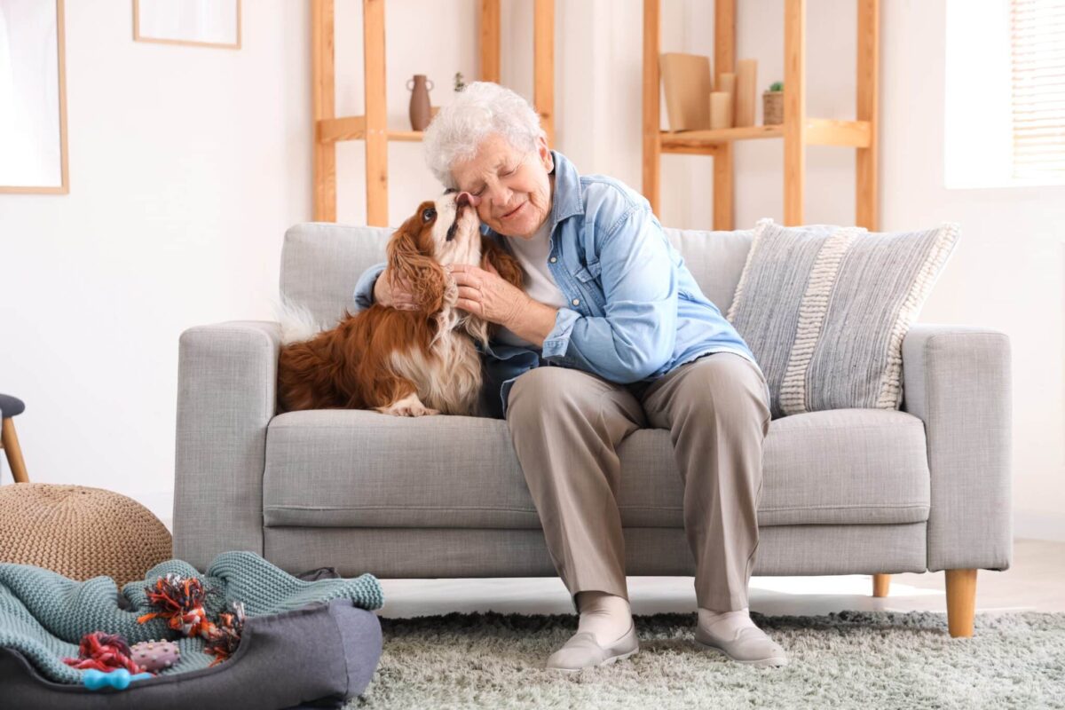 11 Senior-Friendly Dog Breeds for Companionship and Comfort