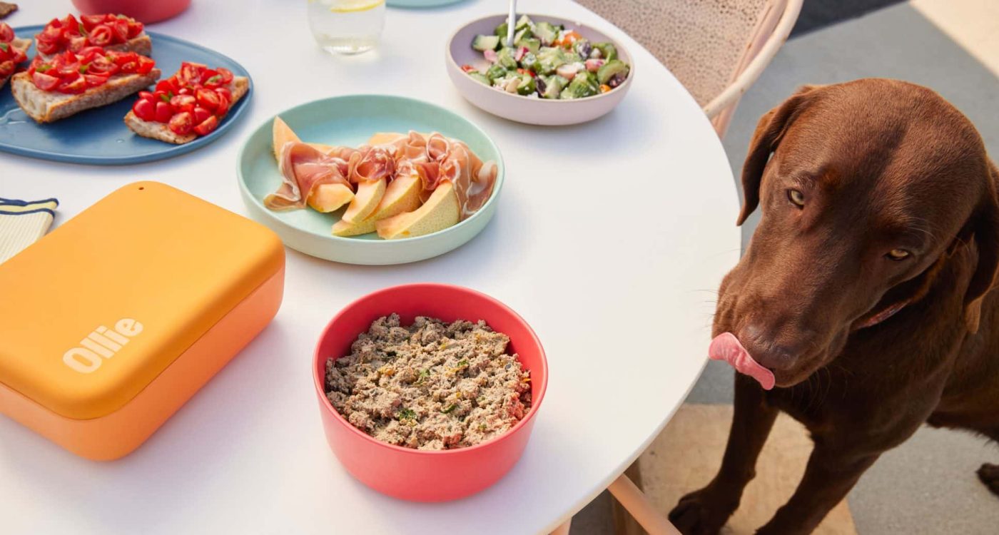 The Simplest Way To Keep Your Dog Healthy Starts With Ollie