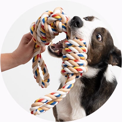 Dog Toys Products