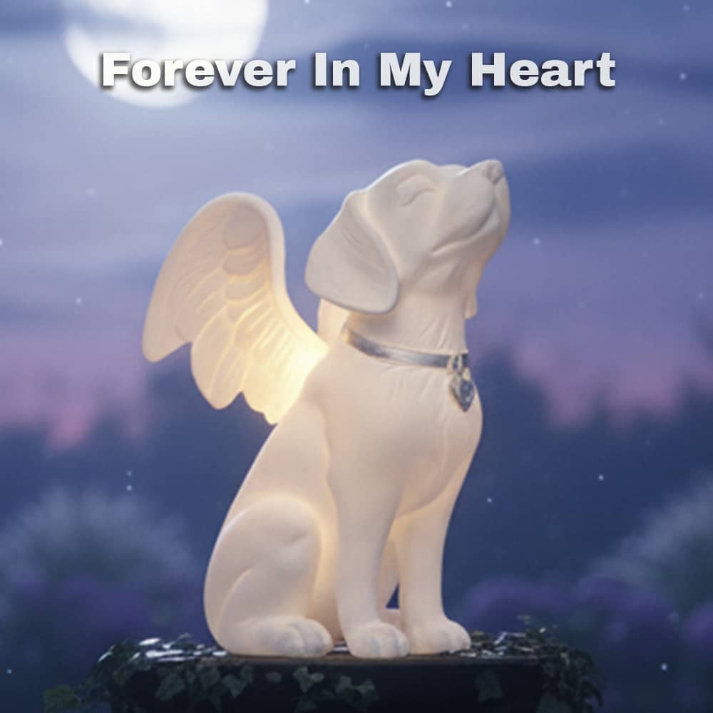 Secondary Product Image