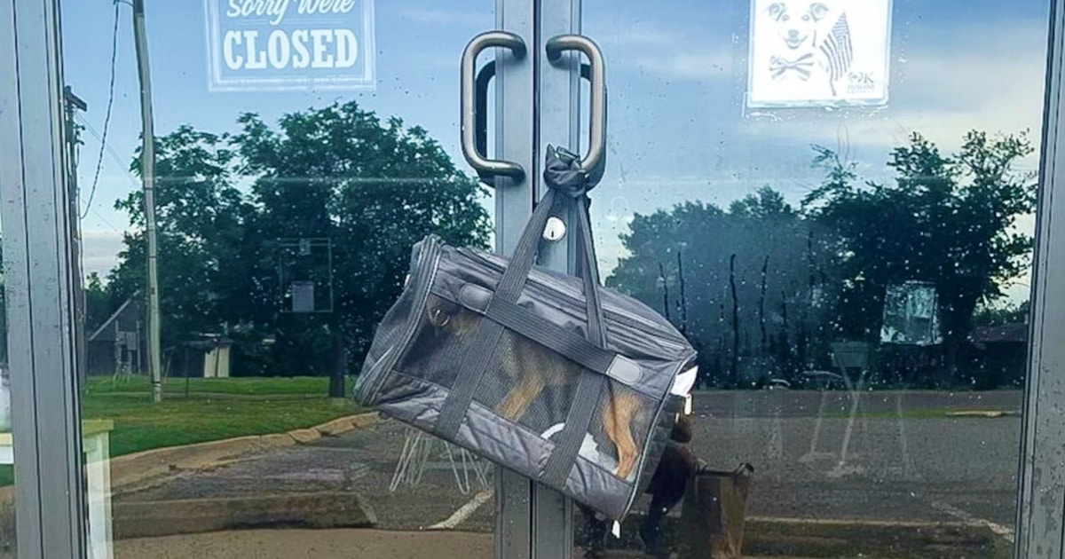 When Man Arrived At Work, He’s Met With A Bag Hanging On Door Handle