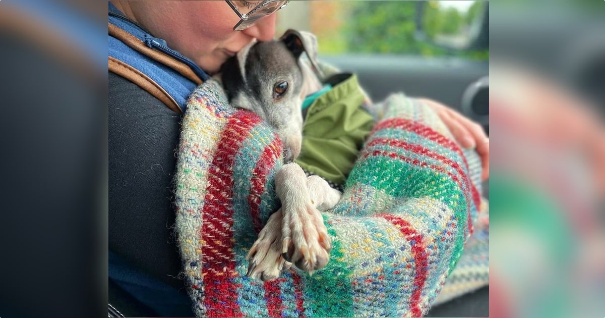 Dog’s Embraced And Kissed On Forehead After Six Years In Cage