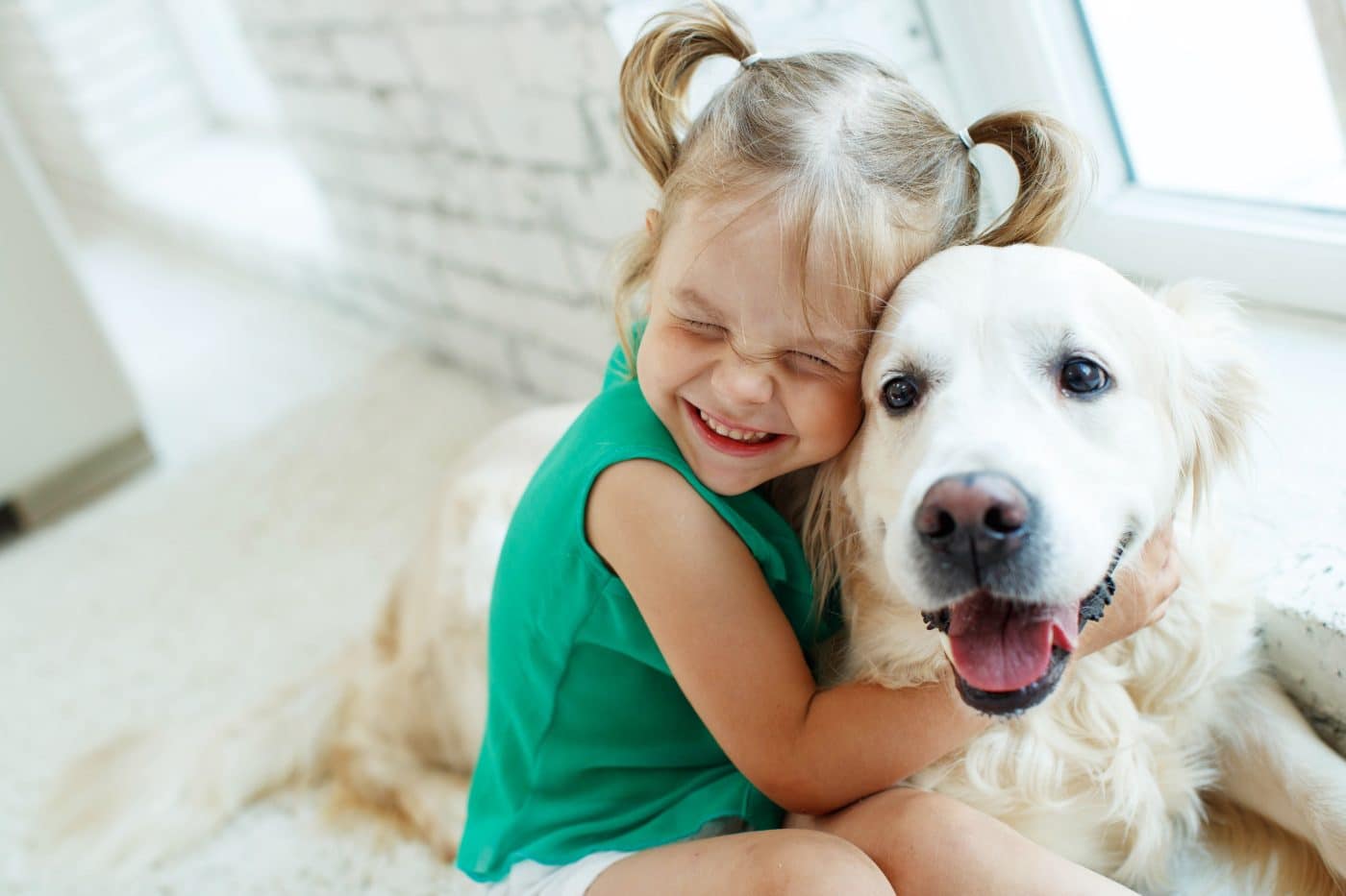 13 Dog Breeds That Make The Best Companions For Kids