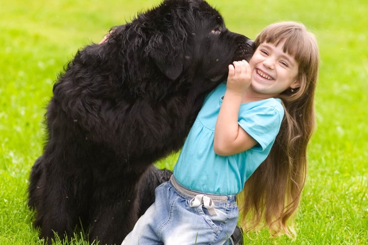 Girl with a Newfoundland dog