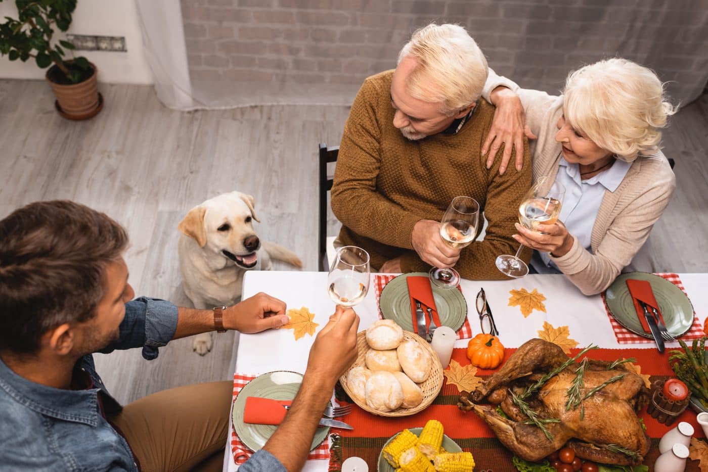 11 Healthy Holiday Foods To Make Your Pup's Season Merry And Bright